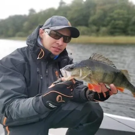 Large With Summer Pool And Sauna *