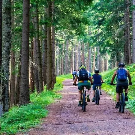 Large With Summer Pool And Sauna Σπίτι διακοπών Zitzmin