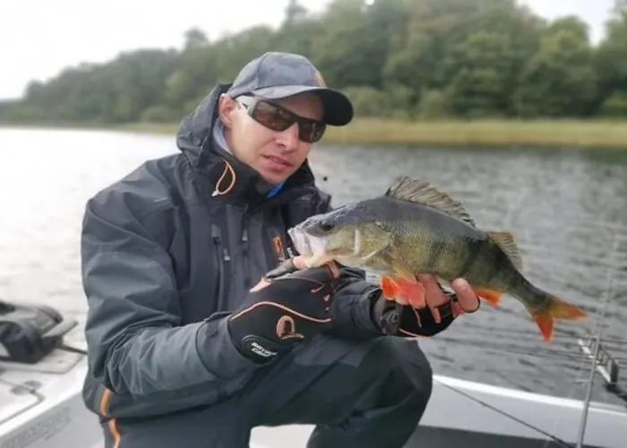 Large With Summer Pool And Sauna *